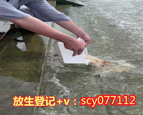 郑州哪里放生小红鱼，河南省宗教界代表