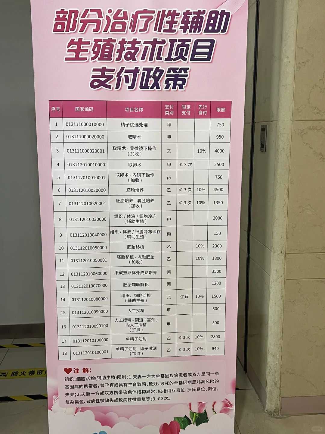 同性女怎么去产子怎么生，拉拉生子上户流程案例